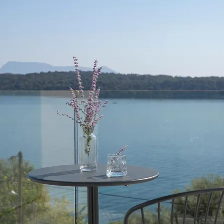 Ionian Elite Beachfront ニドリ